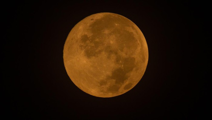 Fenomena pink moon. Foto: Anadolu Agency via Getty Images/Anadolu Agency